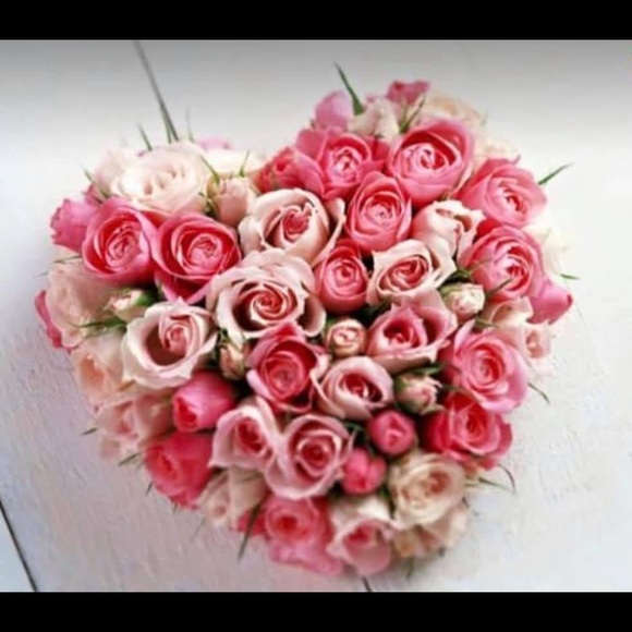 Meet your Posher, Paula - Picture 1 of 1